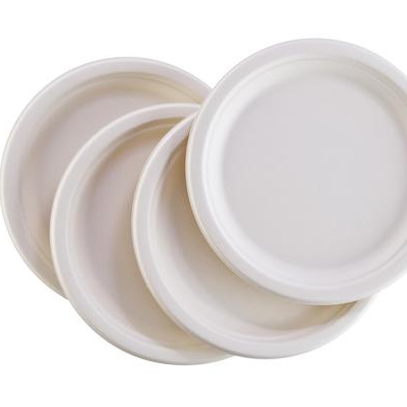 10-inch-bagasse-plates-large