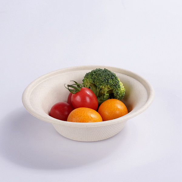 Bagasse Bowls - bagasse bowls in daily food service