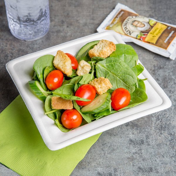Sectioned Bagasse Plates - bagasse plate sizes on display